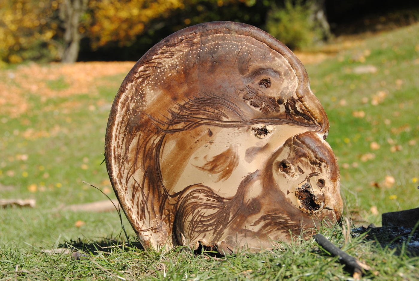 Ausnahme von der Regel