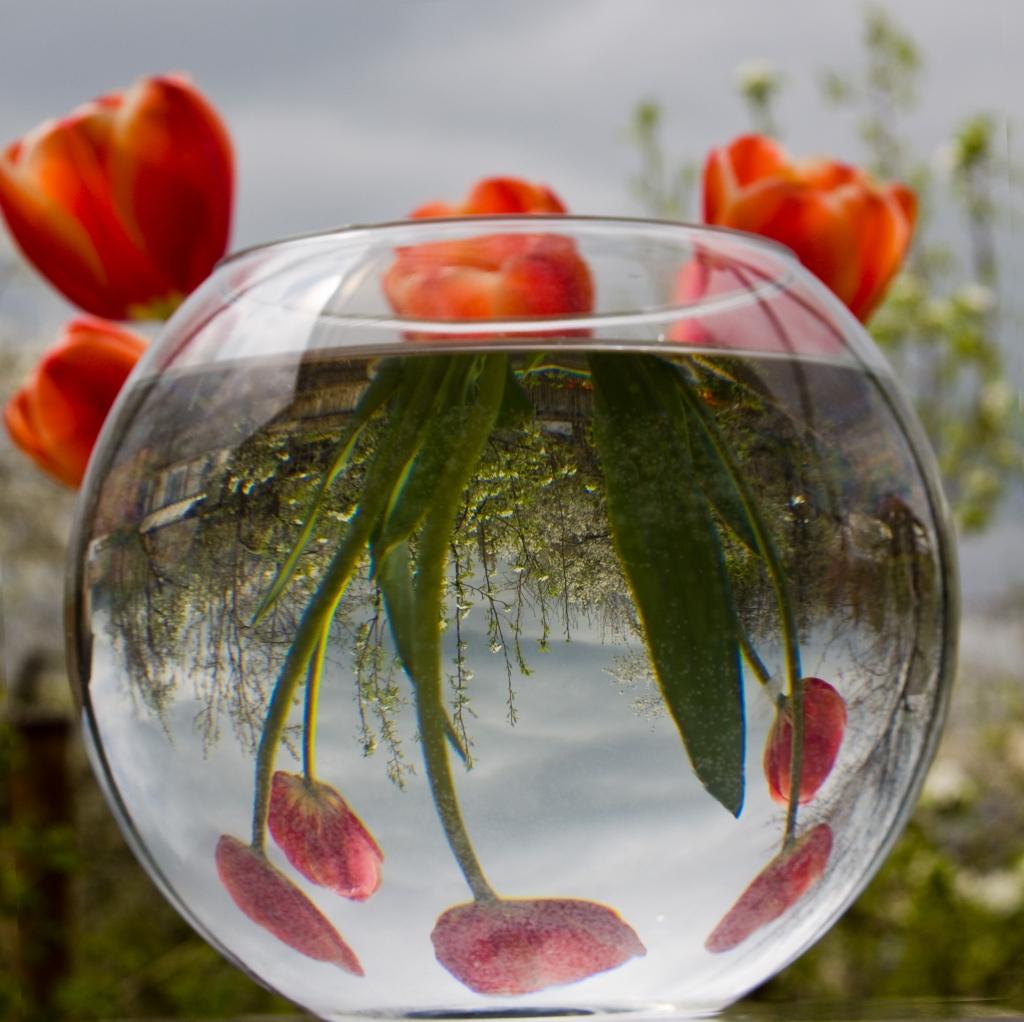 Ausnahme von der Regel