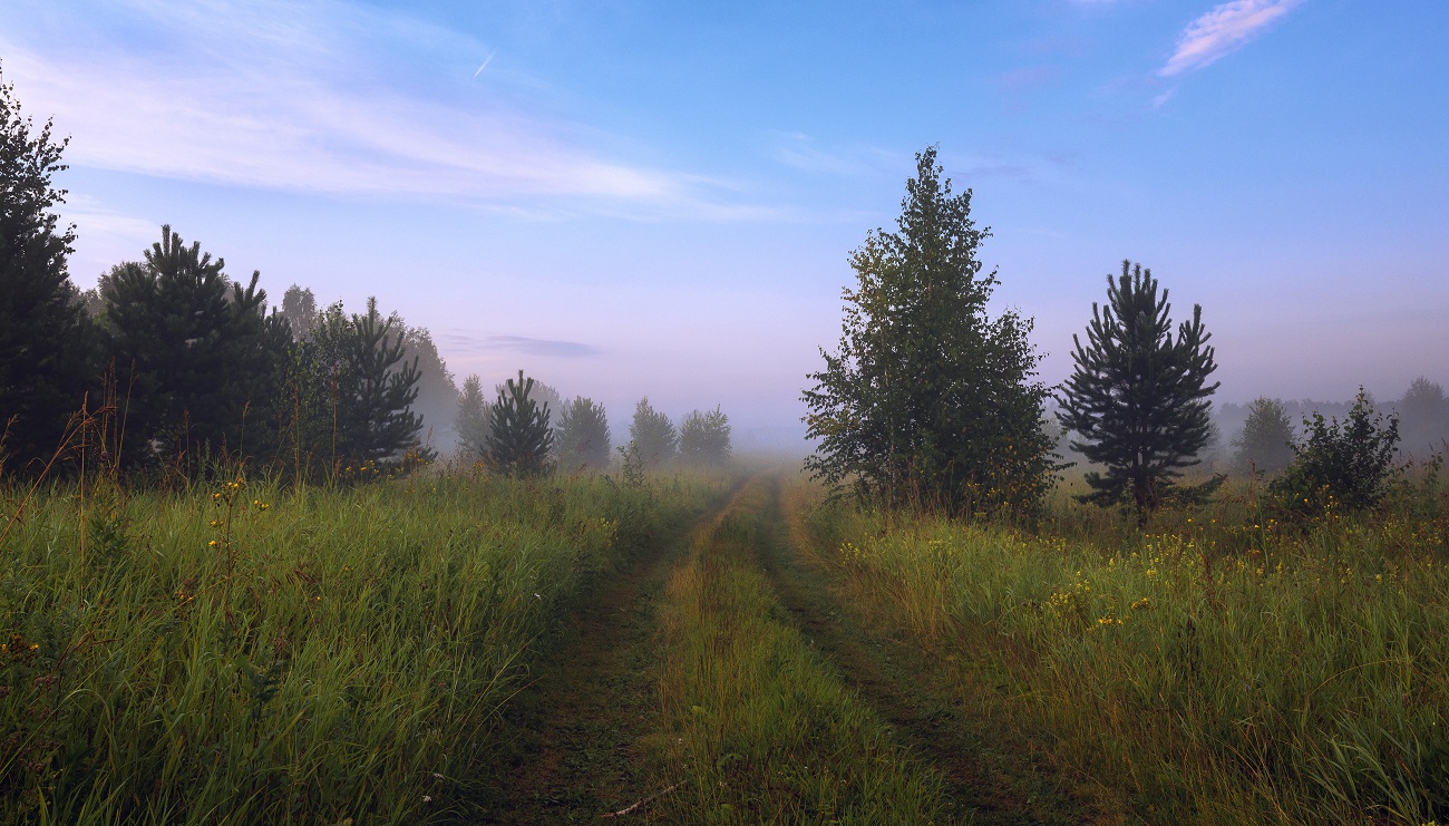In den Sommer Träume ...