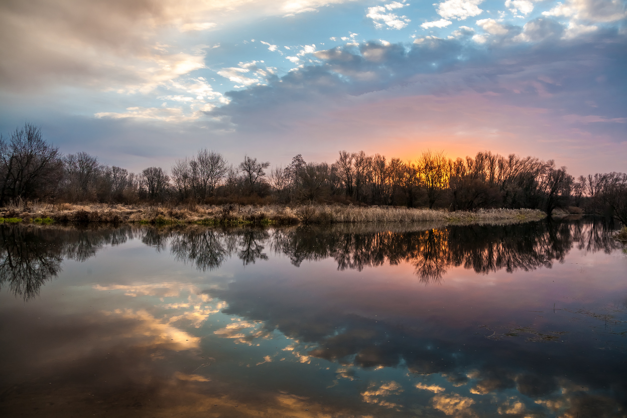 Meine ferne Breg ...