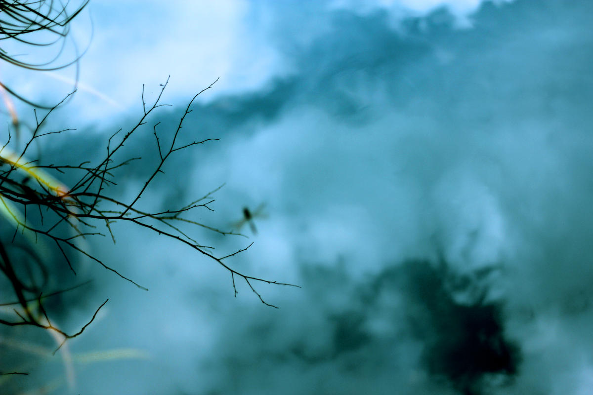 Ausnahme von der Regel