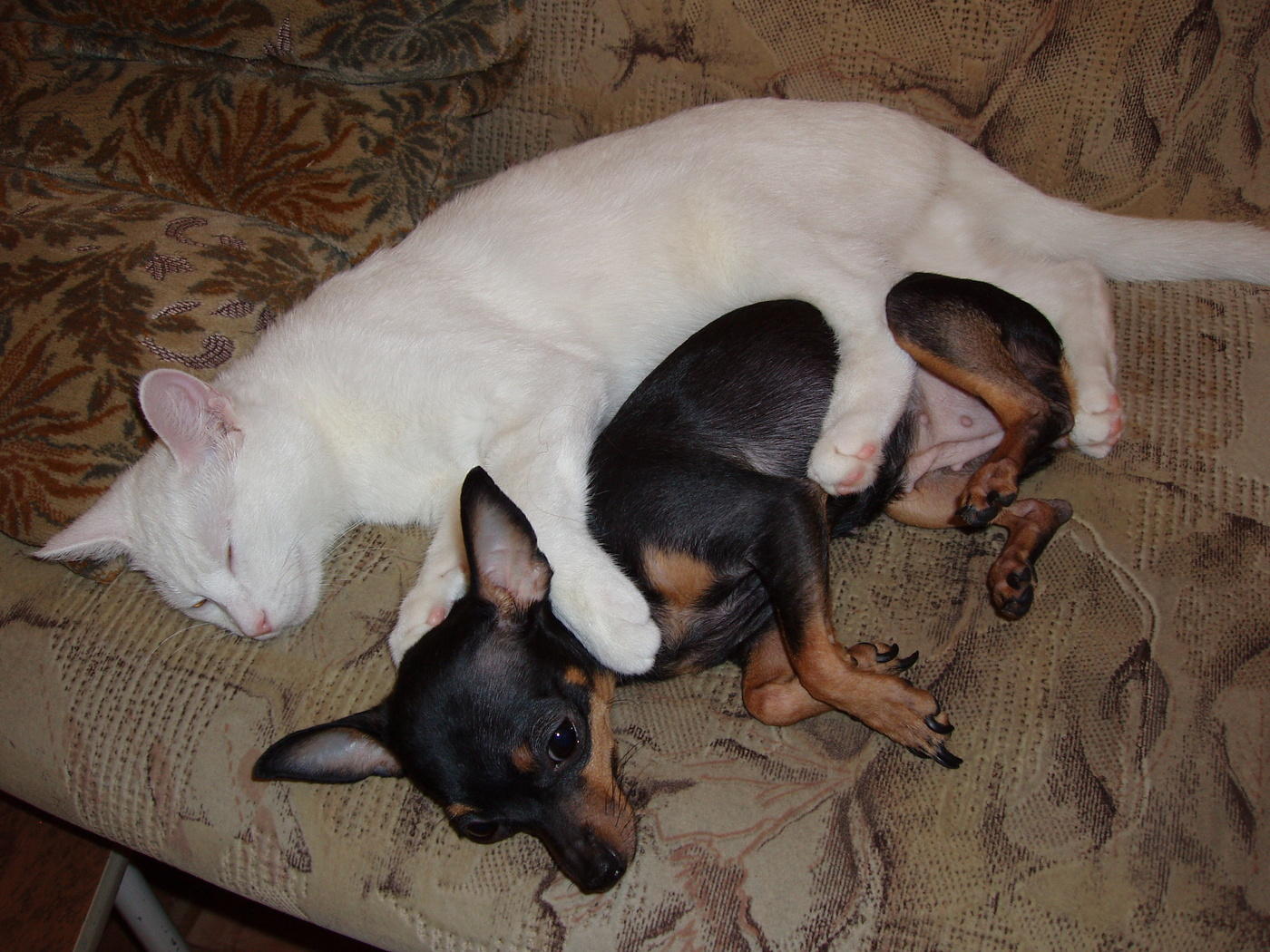 Ausnahme von der Regel