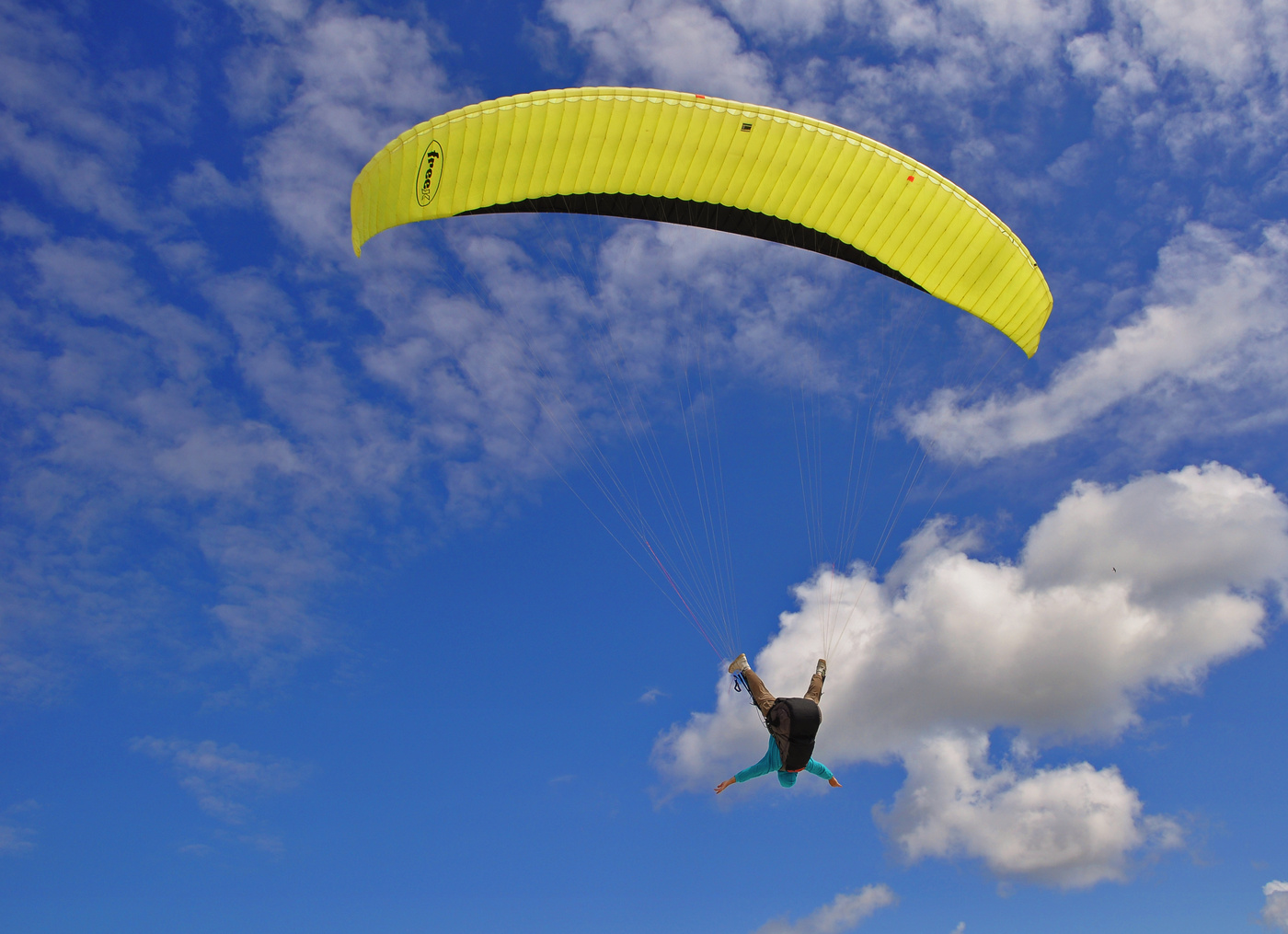 Ausnahme von der Regel