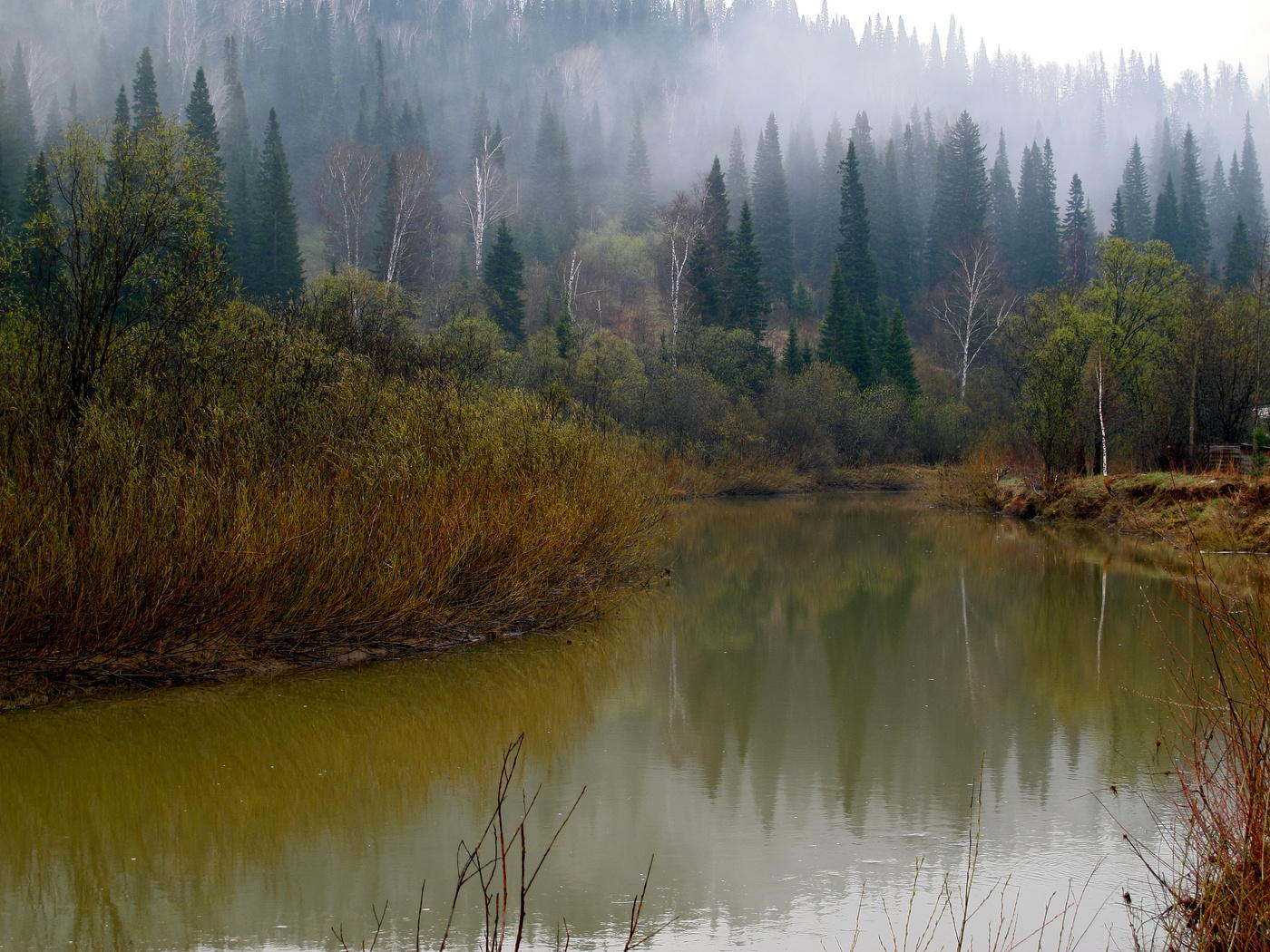 Und ich werde, und ich werde für den Nebel und den Geruch der Taiga