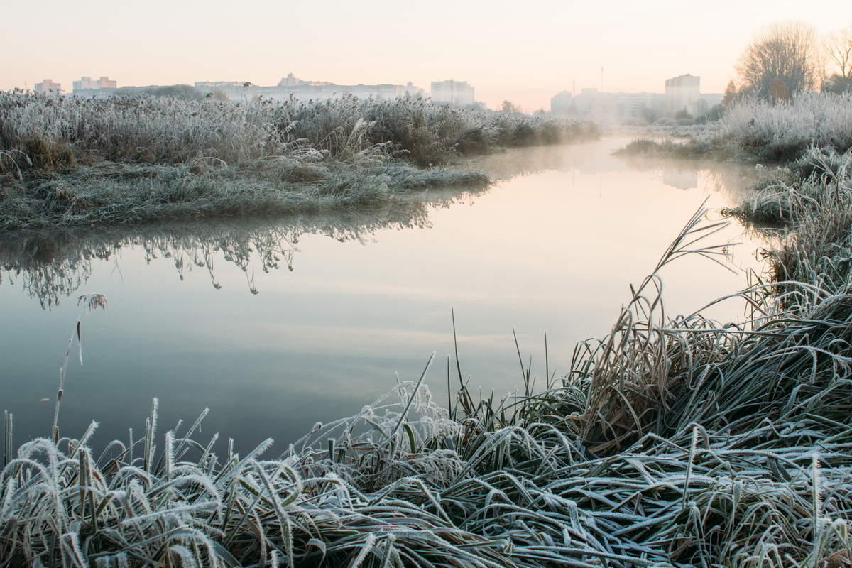 Cold morning in the city park