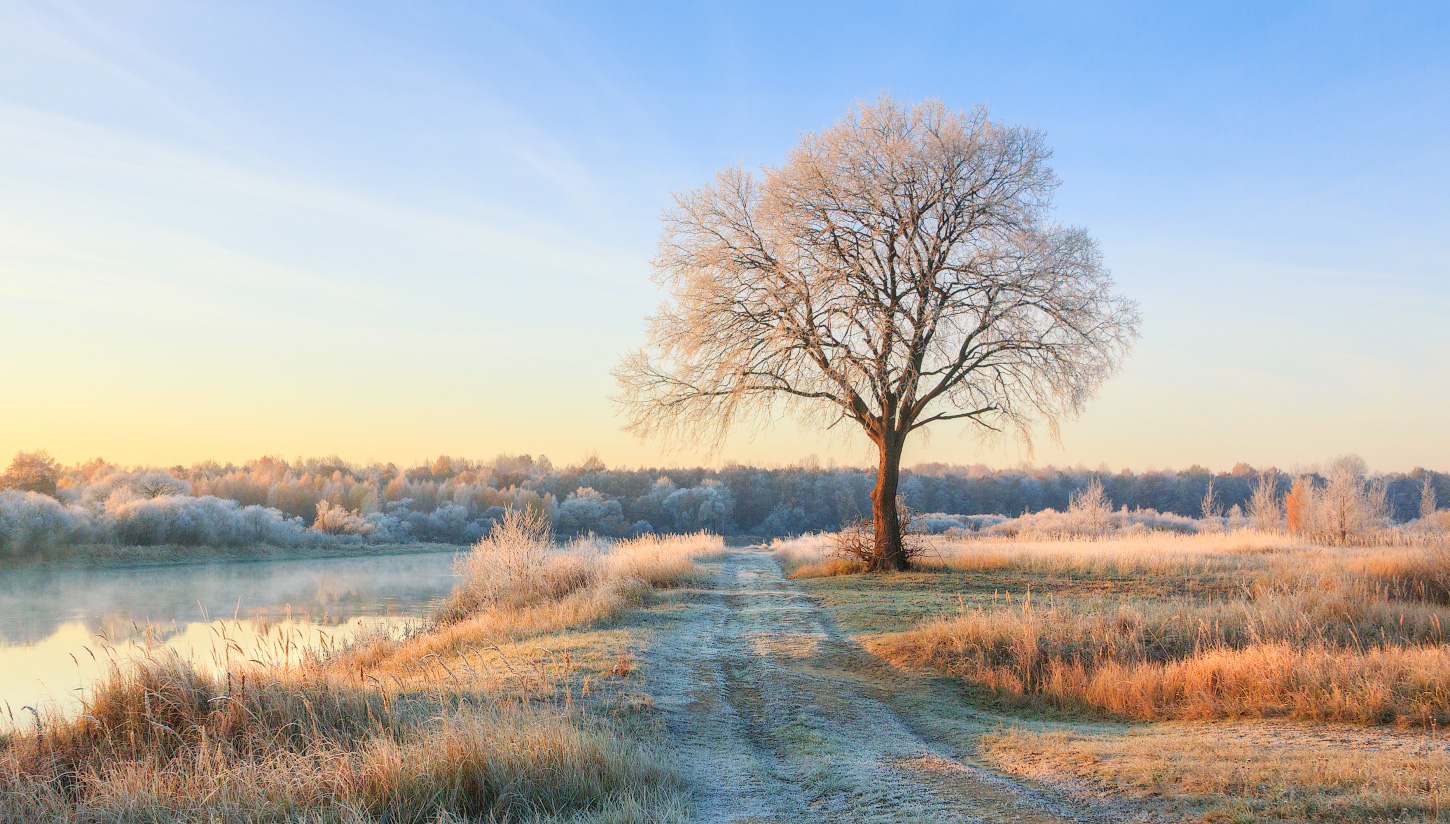 Früh am Morgen in der Dämmerung
