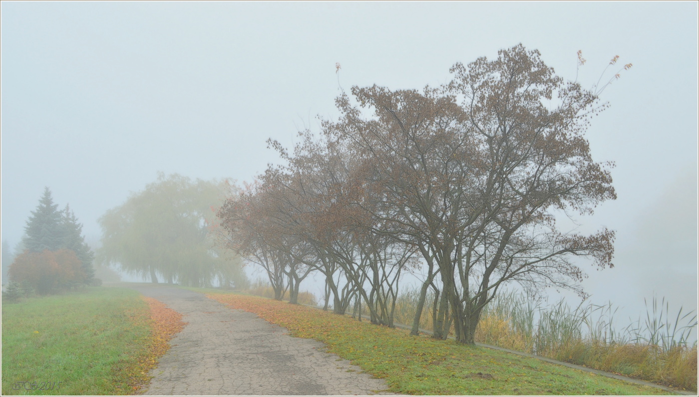 Spaziergang im Nebel