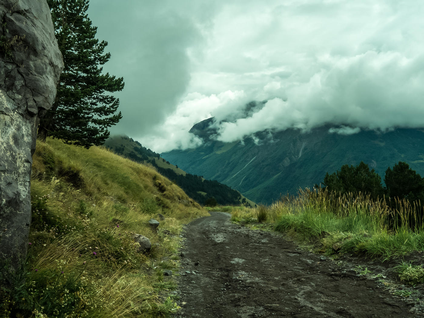 Die Straße im Nebel