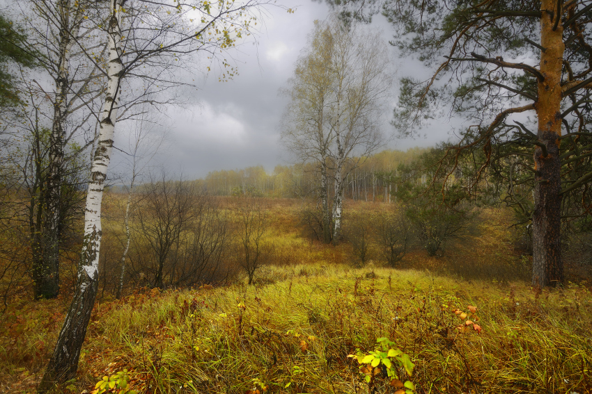 Den ganzen Tag strömenden regen