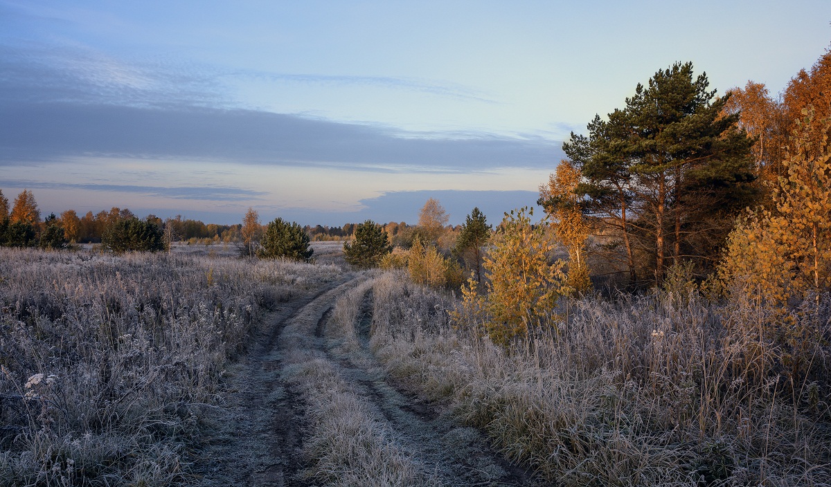 An einem klaren Gras.