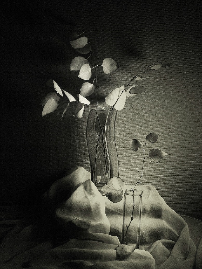 Solche unterschiedlichen Herbst