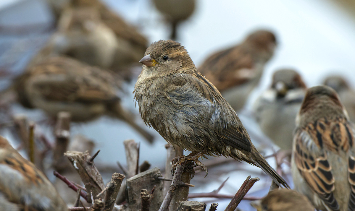 "Manchmal, da kommt die Kälte!"