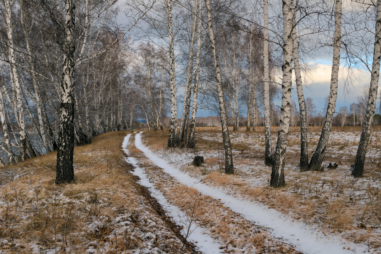 Es war kalt Birken ...