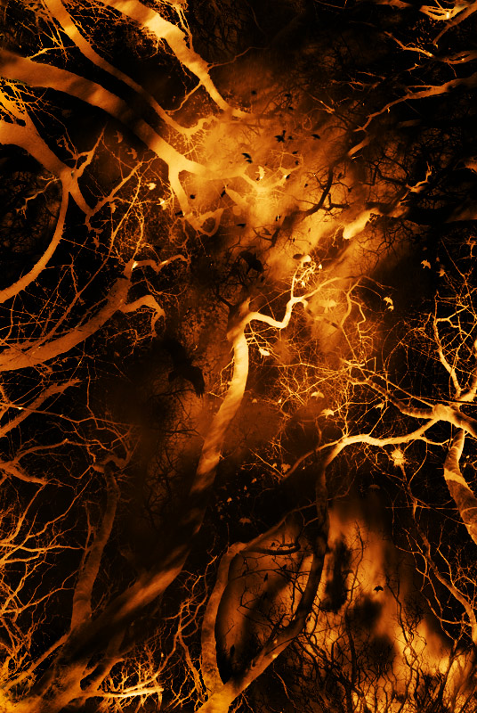 Liebe lebt hier nicht mehr