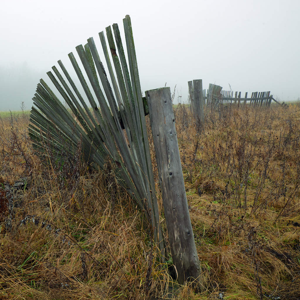 Wings of the Motherland