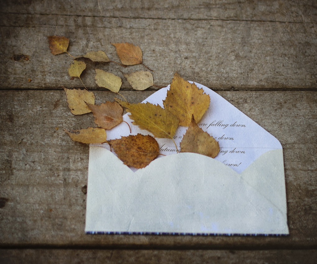 Letters im November ...