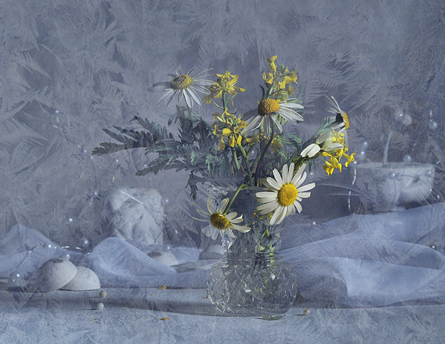 Lass mich nicht, frühling, verlass mich nicht, Hoffnung ...