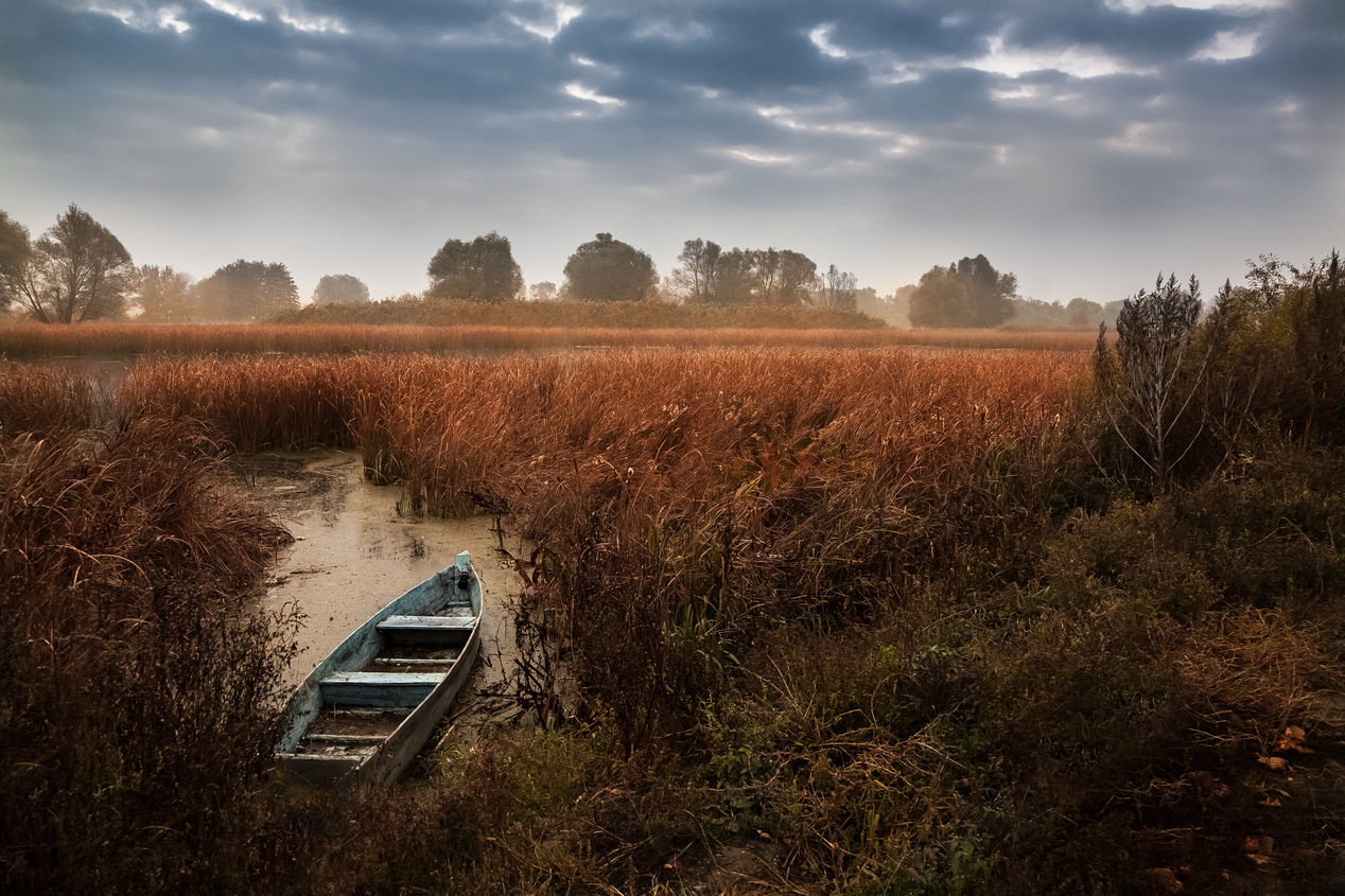 Die Tage des Spätherbst ...