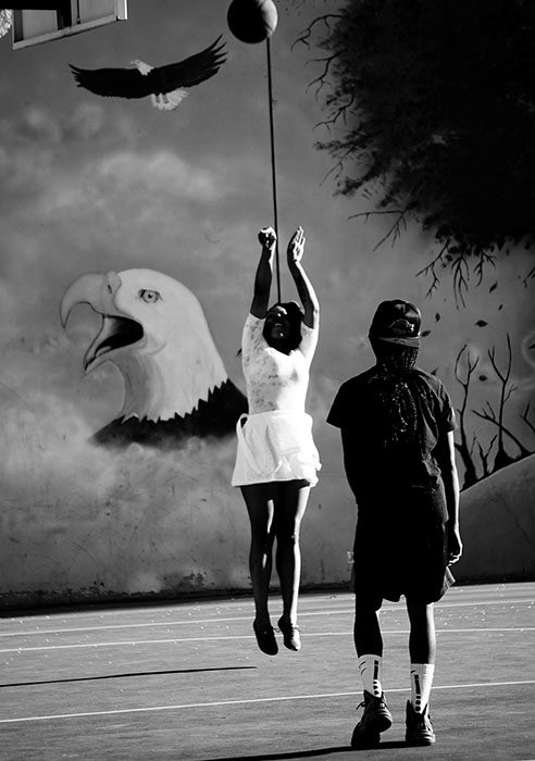 Die Heuschrecke und die beiden Beobachtung