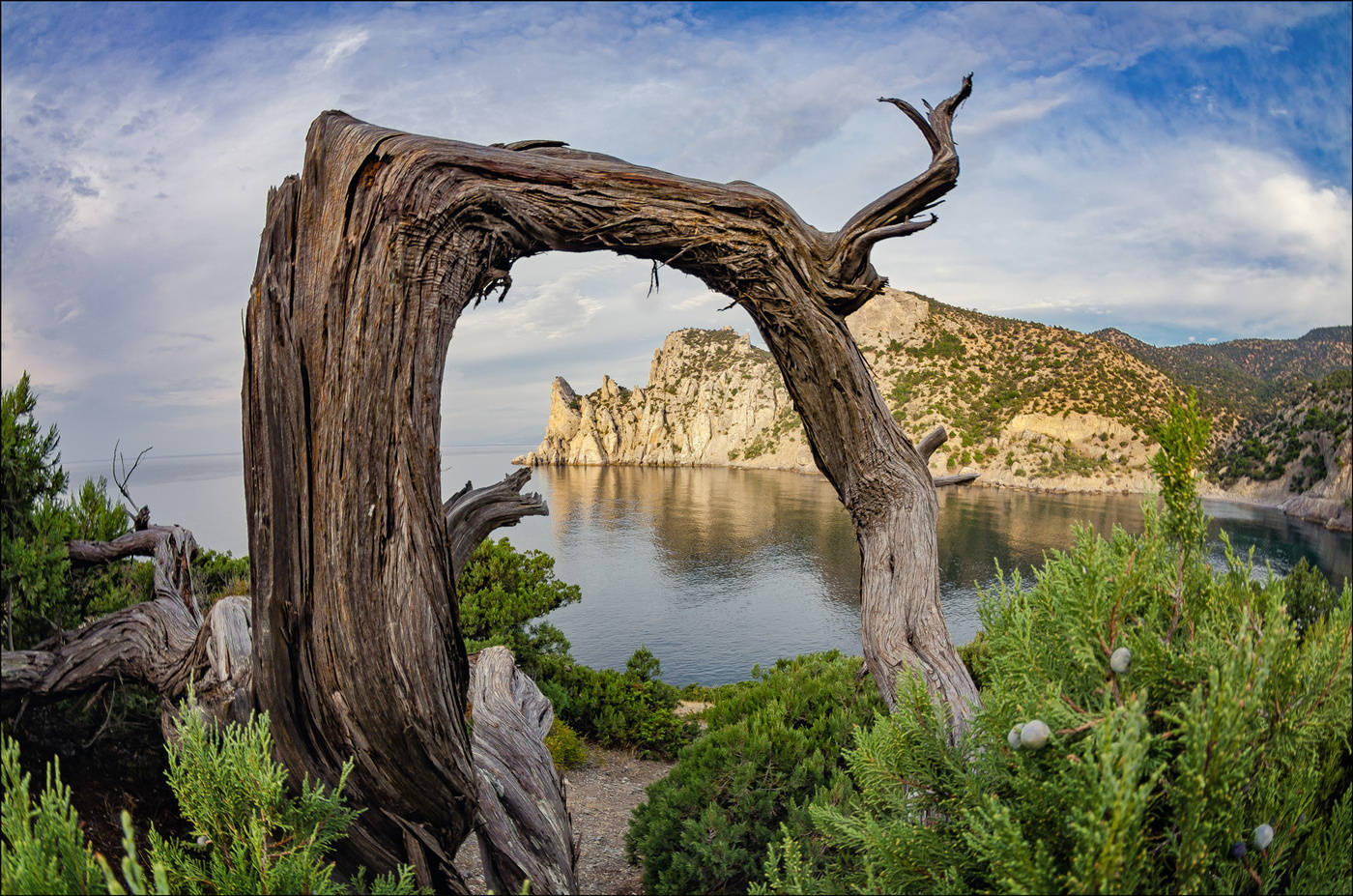 Sentry Sowohl im natürlichen Rahmen ........
