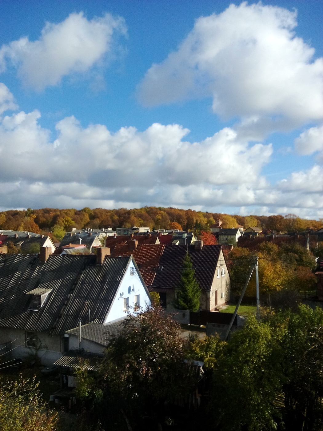 Herbst