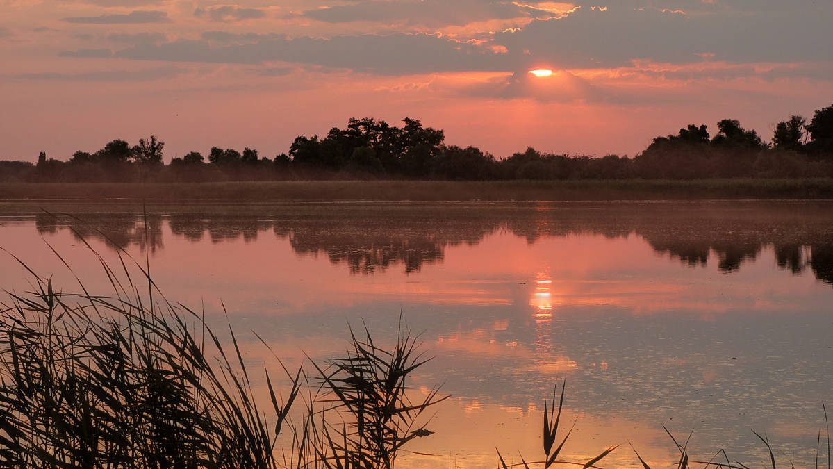Warmen Sommerabend ...