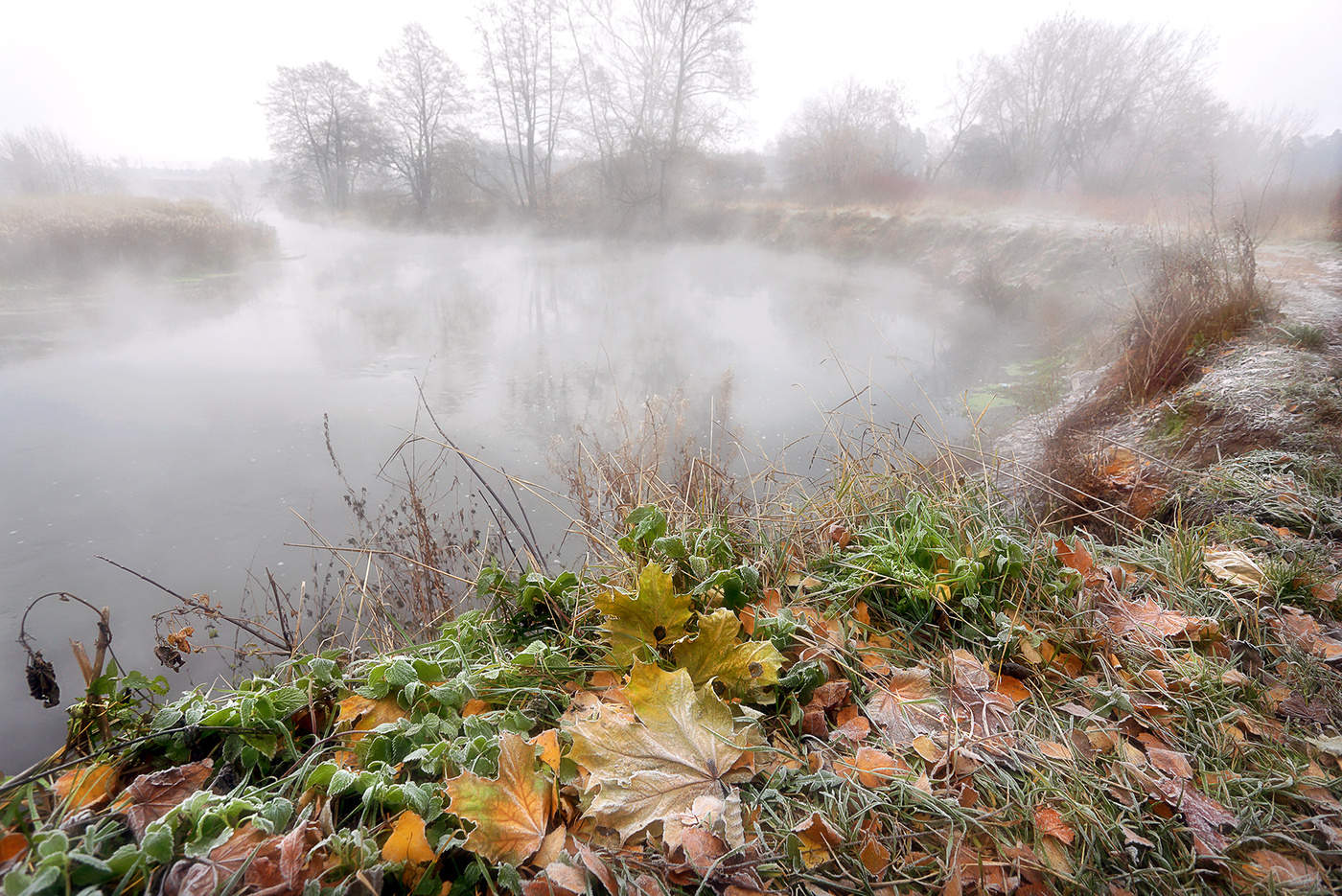 In einem Novembermorgen ...