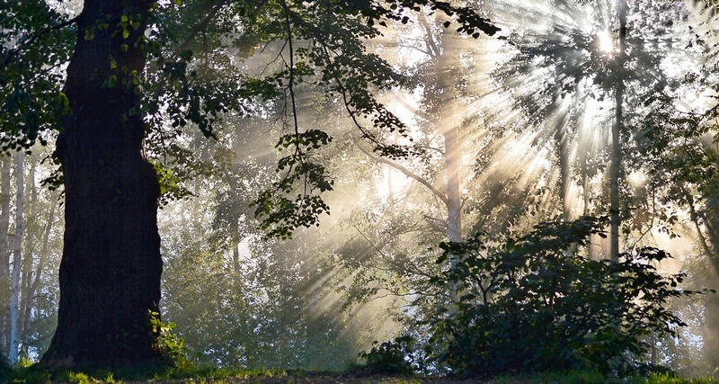 Licht und Schatten ...