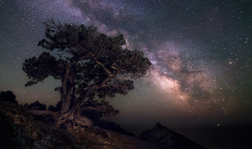 In der Wacholderhain