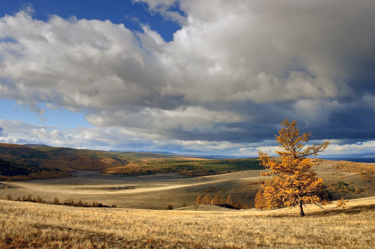 Einsame Wanderung im Herbst ....