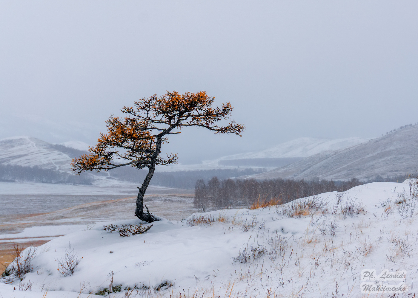 Gohua. Russian edition