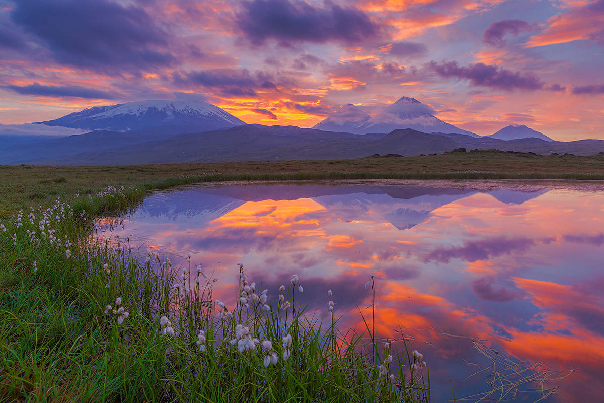Valley of the Giants