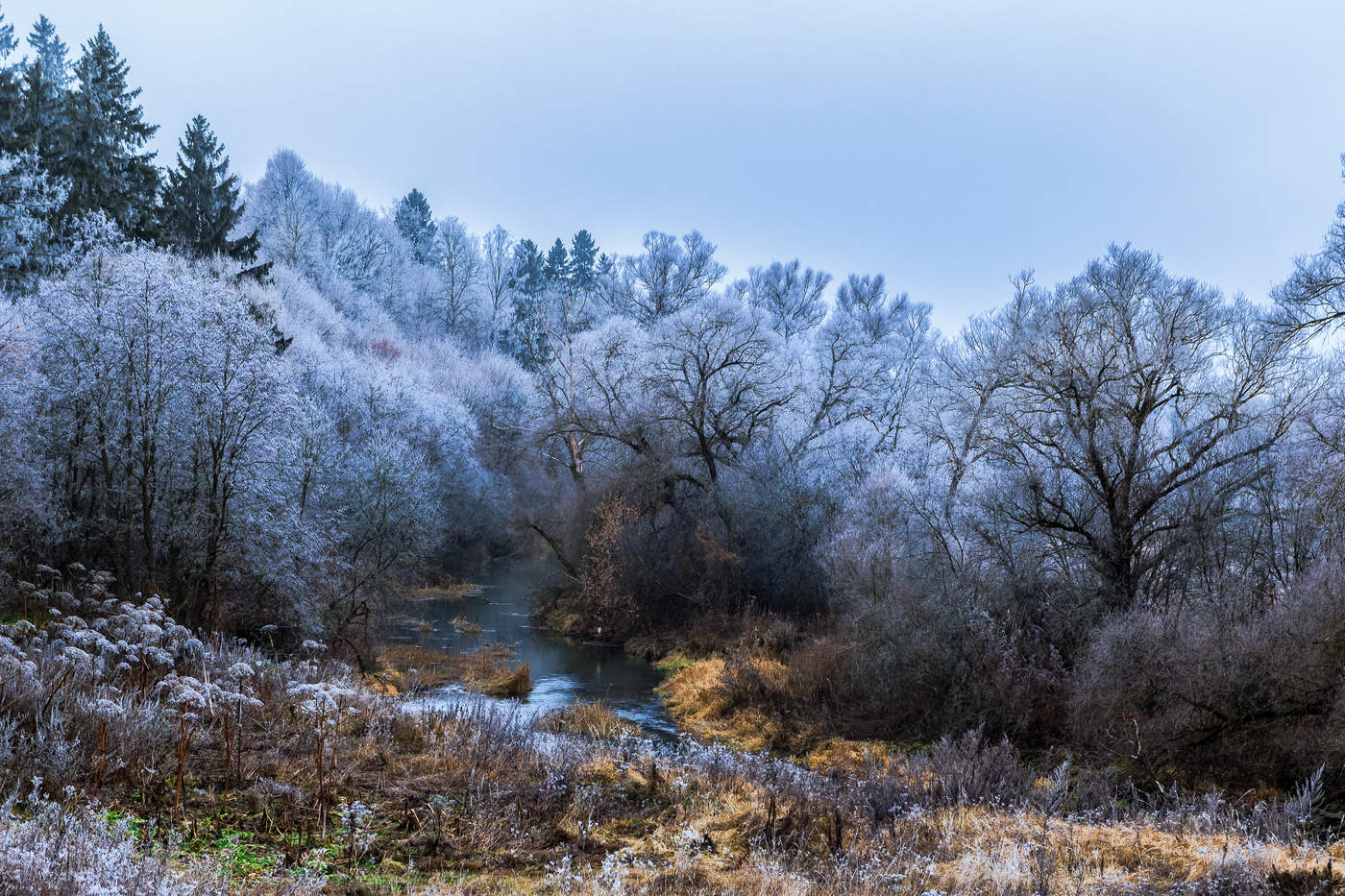 Über grauen Herbst ...