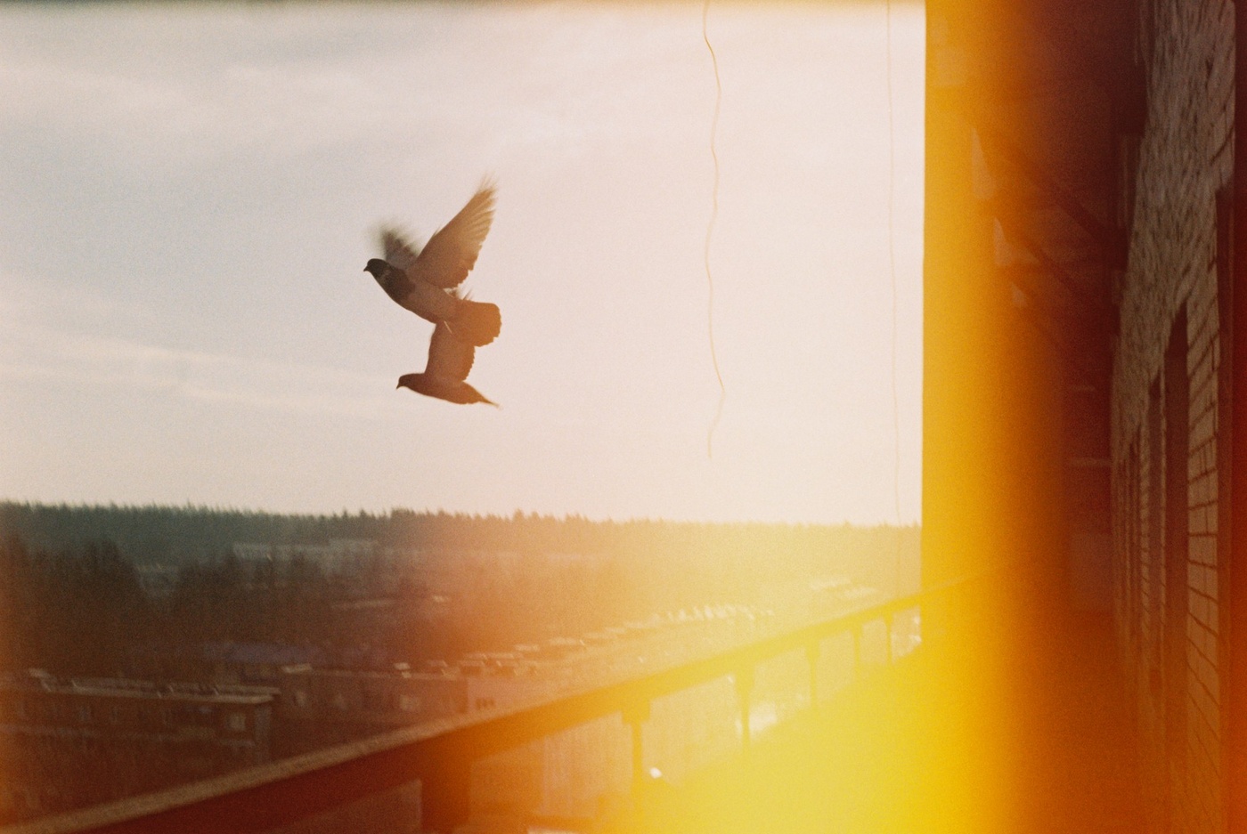 es trübt den Weg ...