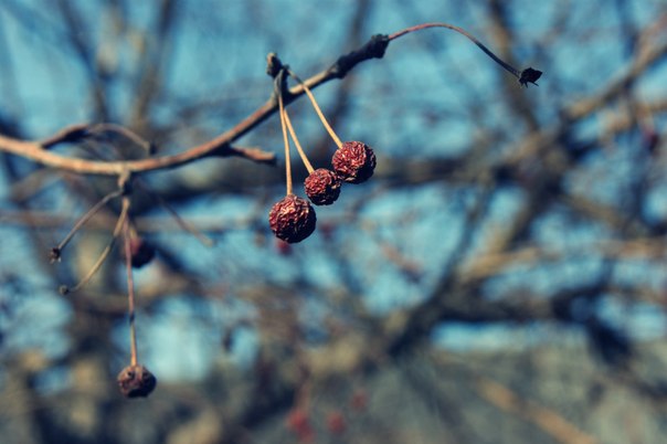 Der Sinn des Lebens -, um hinter einem Leben zu verlassen