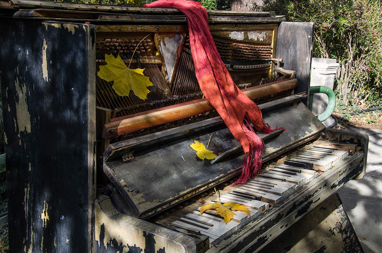 Über das Klavier in den Büschen ...