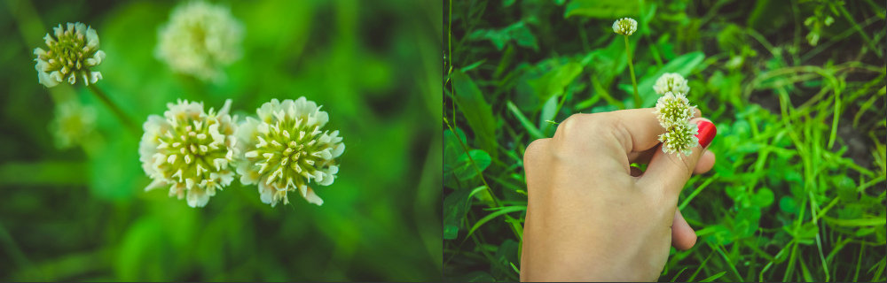 Bringen Sie den Sommer.