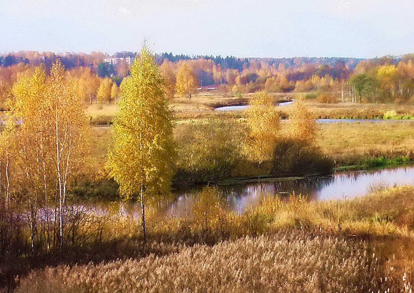 Unterricht im Herbst Kleid.