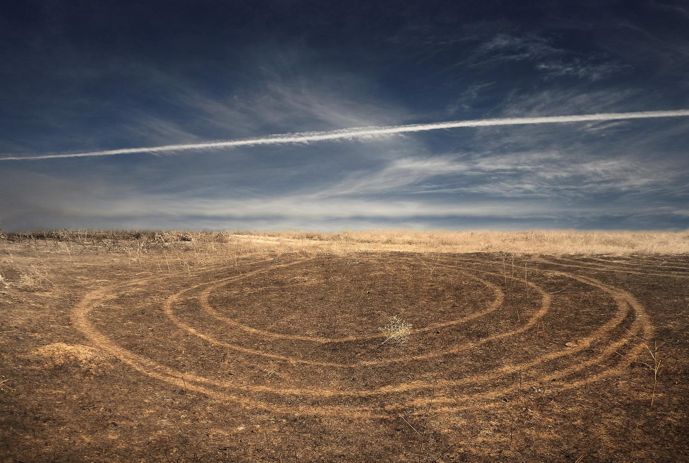 Gibt es Leben auf dem Mars?