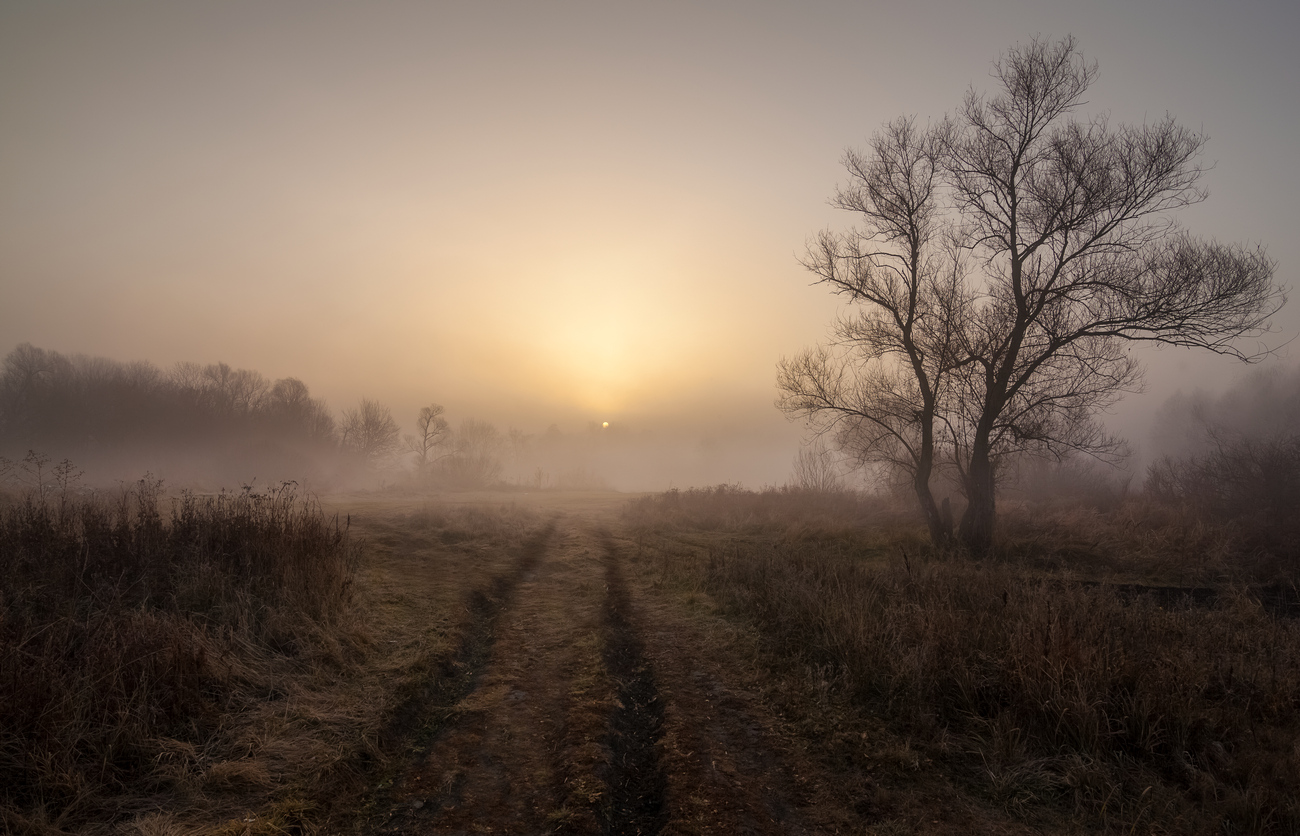 Zu Besuch im November ...