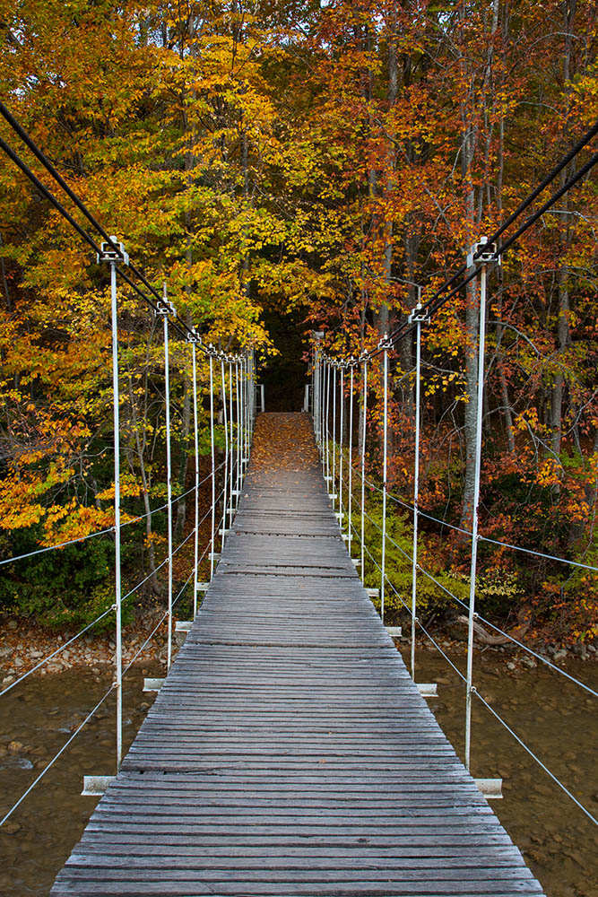 Brücke im Herbst