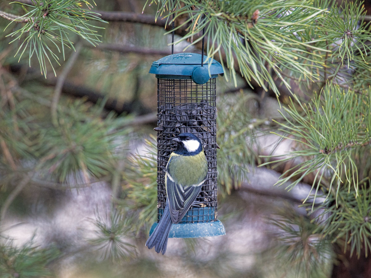 In der Arena sind die gleichen