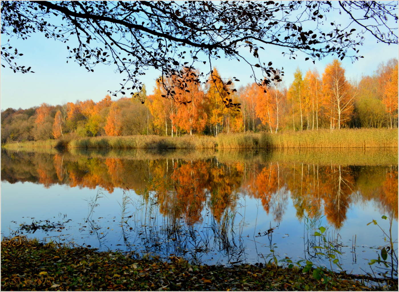 Reflexion Herbst