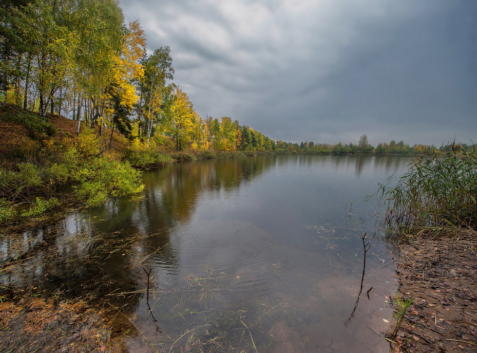 Über nicht Einschlüsse Fisch