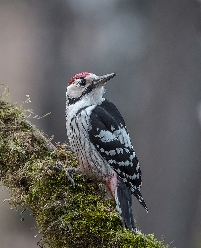 Es ist Ihnen I genannt wurde?