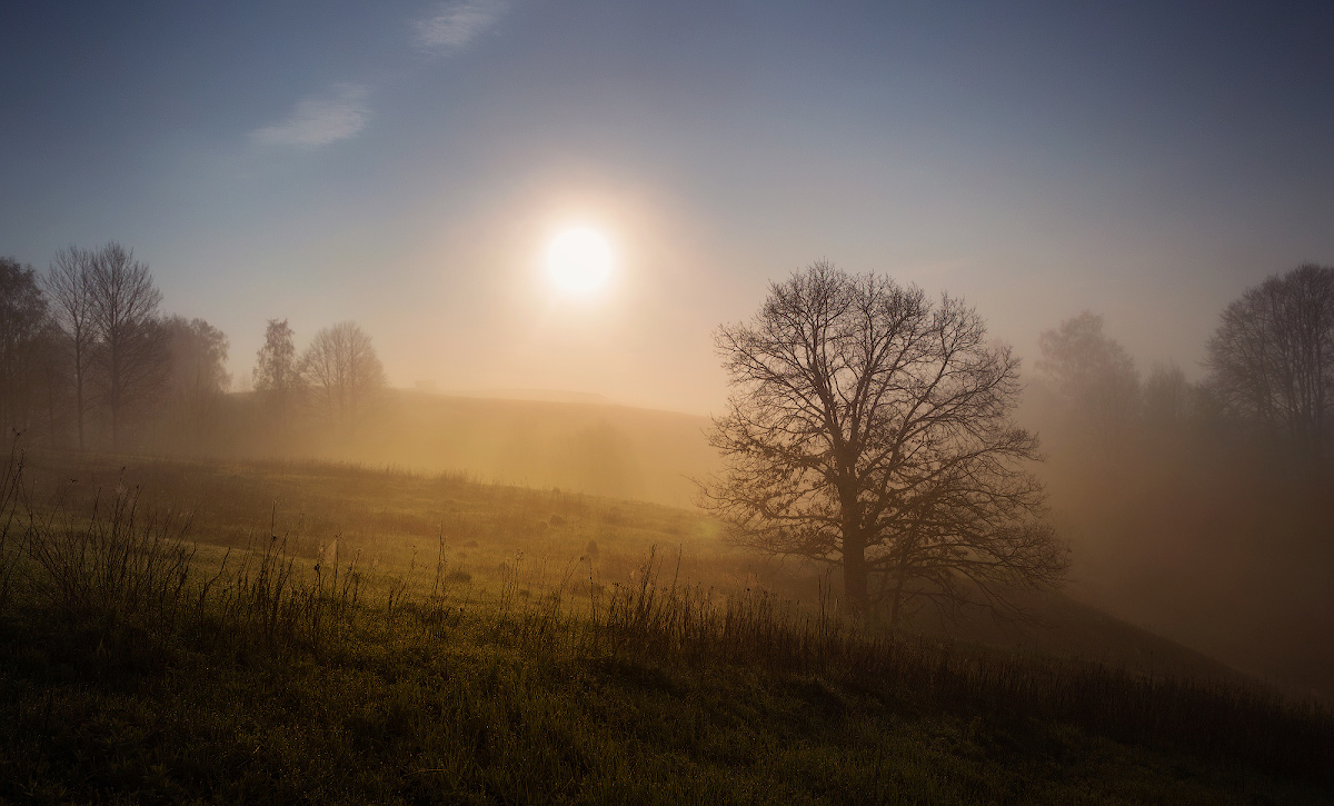 Nebel und Sonne