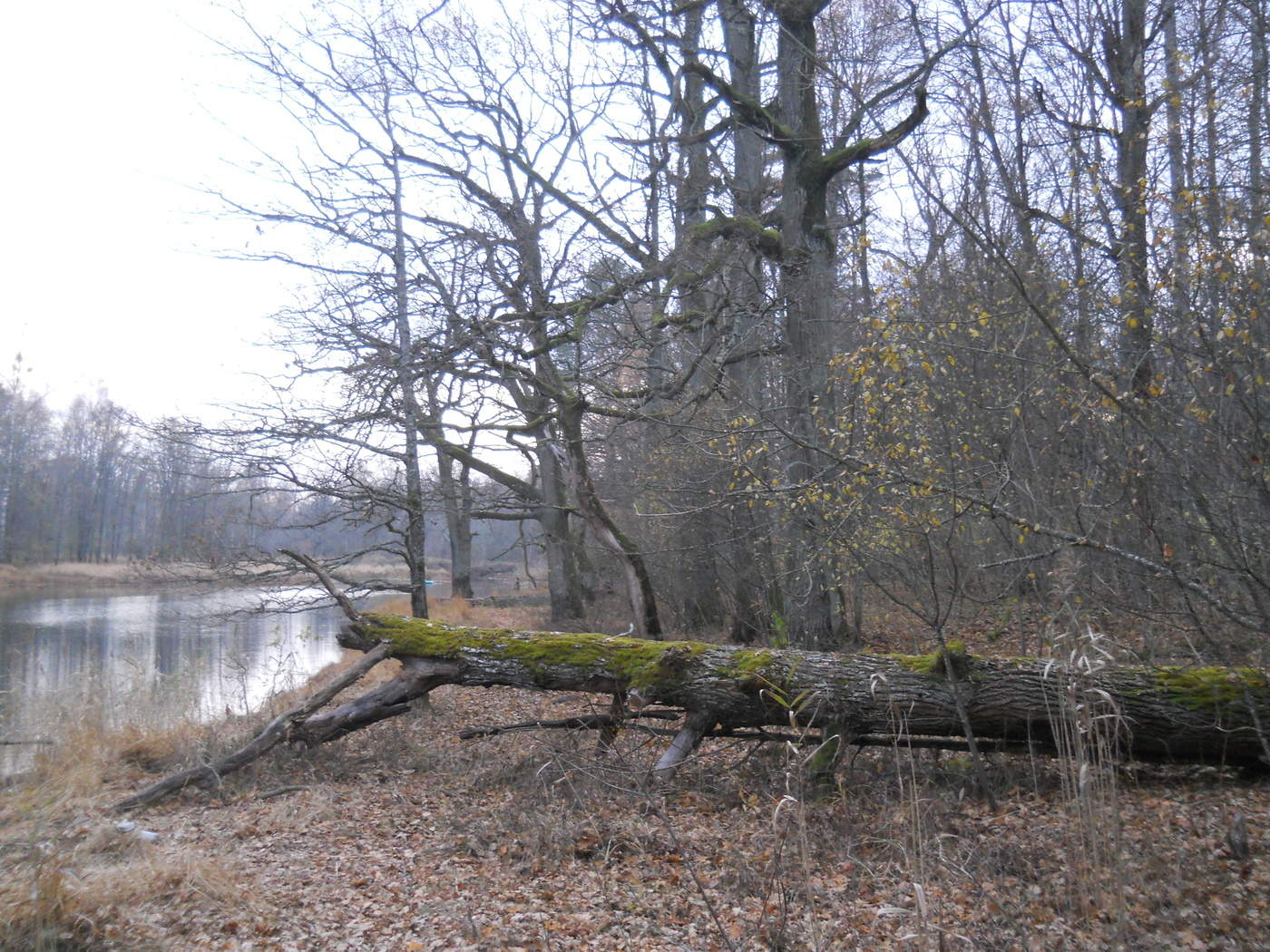 Die Wärme in der kalten