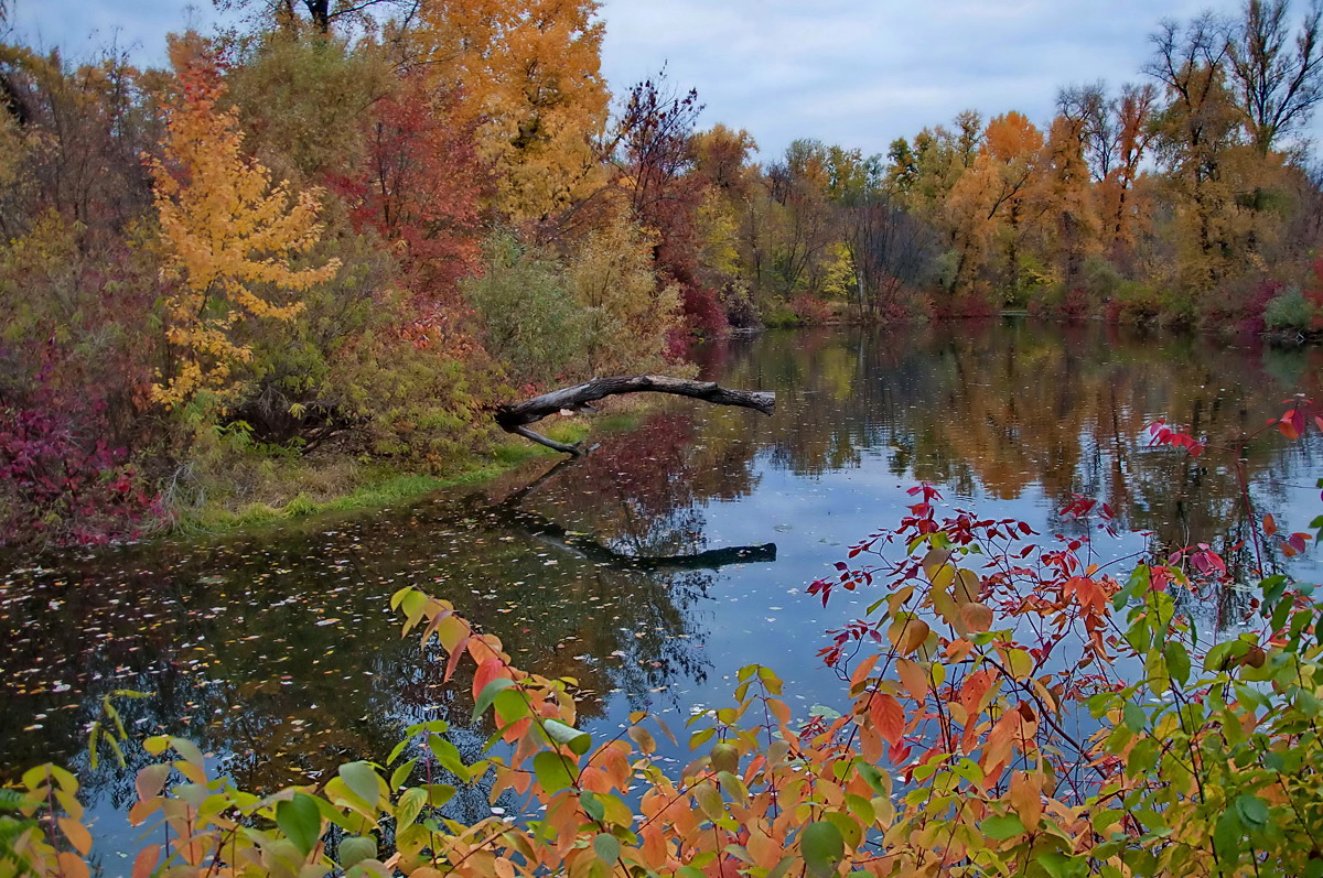 Im vergangenen Herbst Akkorden