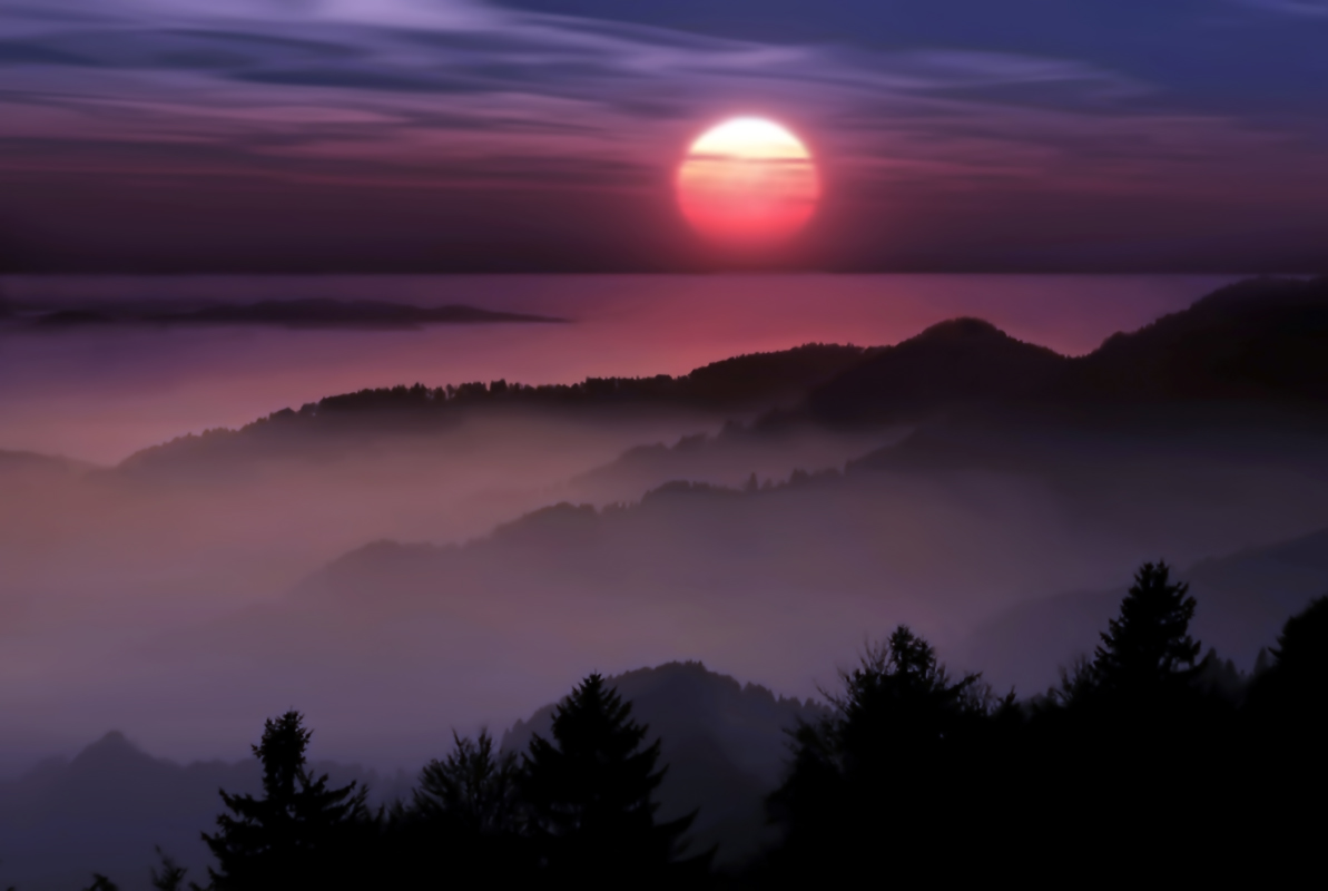 Irgendwo in den Hügeln von wildem Rosmarin Blumen ...