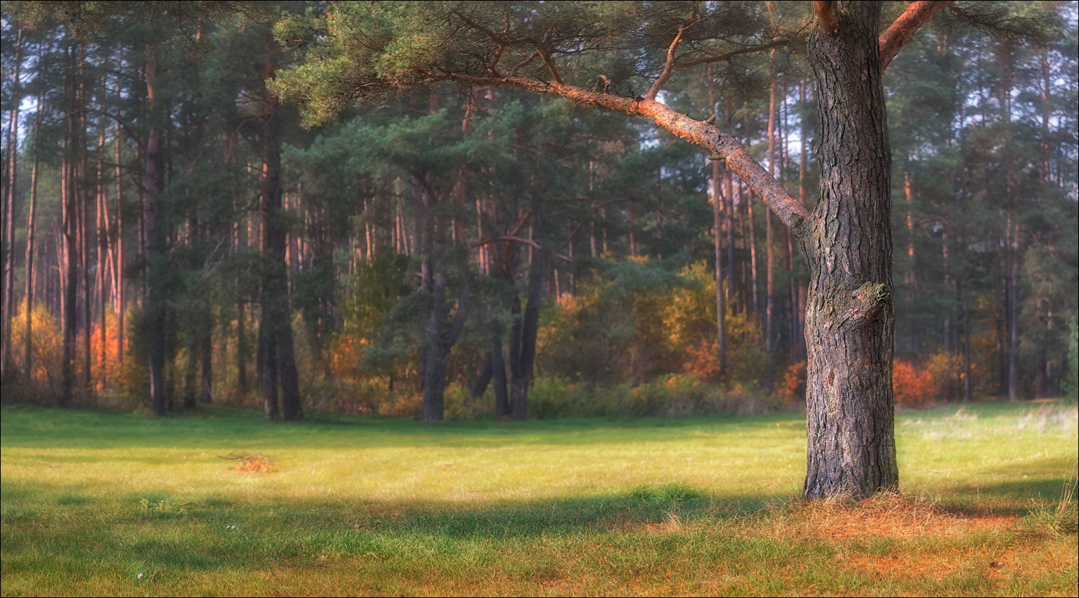 Herbst-Tag auf dem Neman